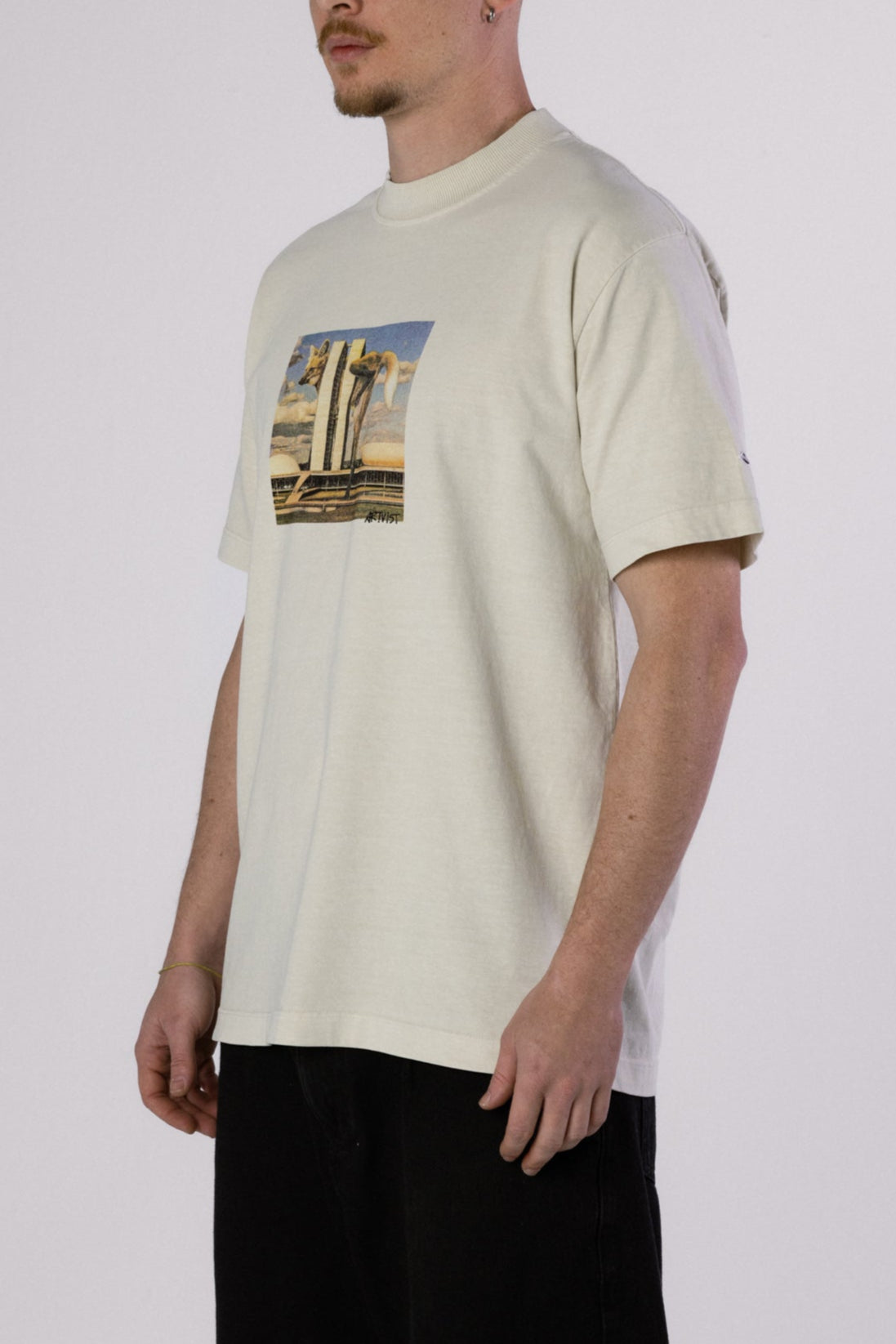 LOBO GUARÁ VTG TEE - STONED TOFU