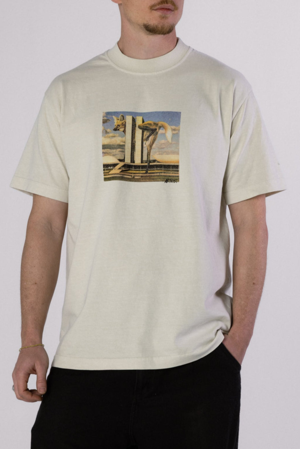 LOBO GUARÁ VTG TEE - STONED TOFU